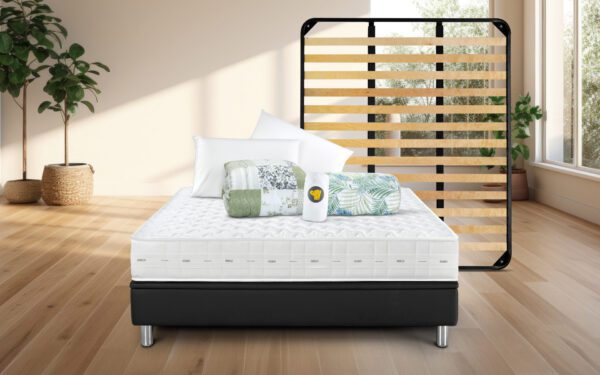 Essenza Offerta con Rete