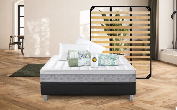 Memory Plus Offerta con Rete