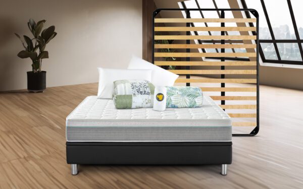 Stelvio Offerta con Rete