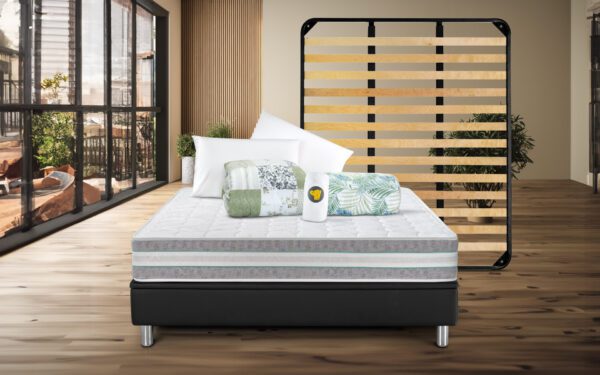 Elite Offerta con Rete