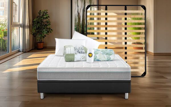 Levante Offerta con Rete