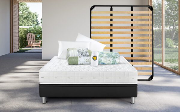 Magnifico Offerta con Rete