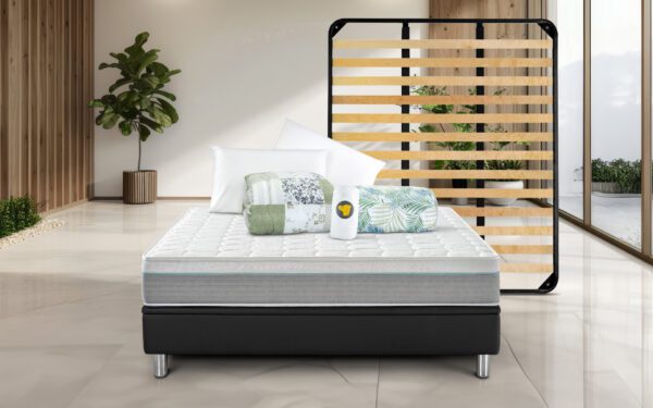 Pacifico Offerta con Rete