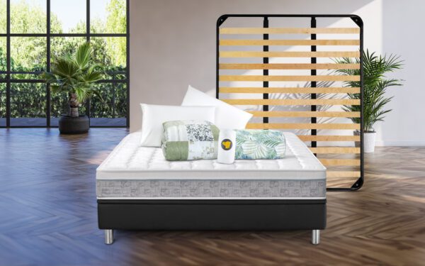 Rigenera Offerta con Rete